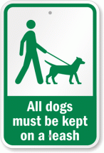 dog on leash